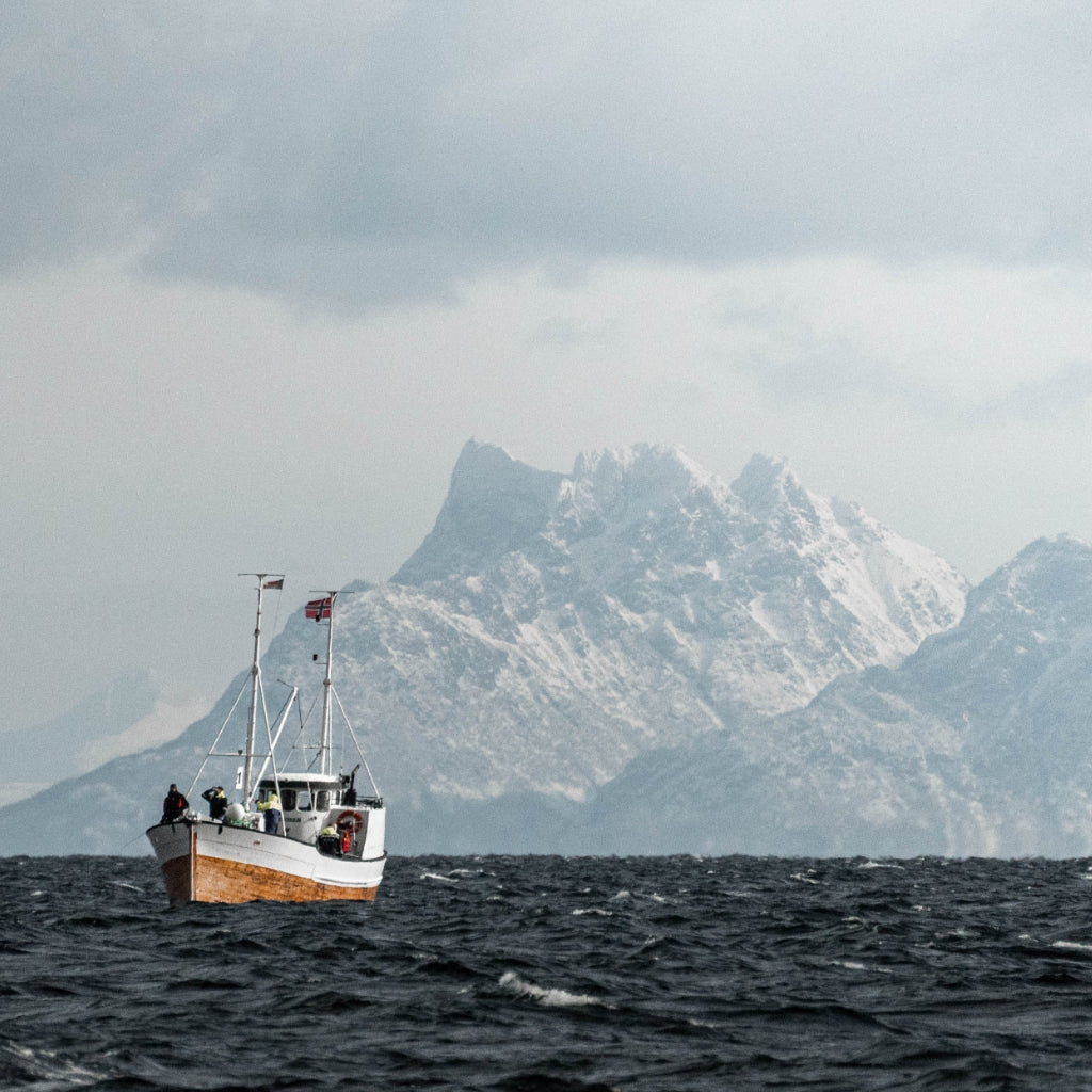 Slik gikk VM i skreifiske